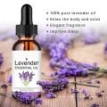 Huile essentielle de lavande de lavande de lavande de lavande de diffuseur naturel pure